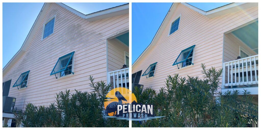 before and after soft washing