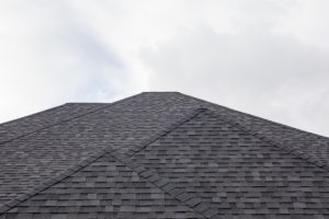 Washing Your Shingled Roof: How to Hire a Professional